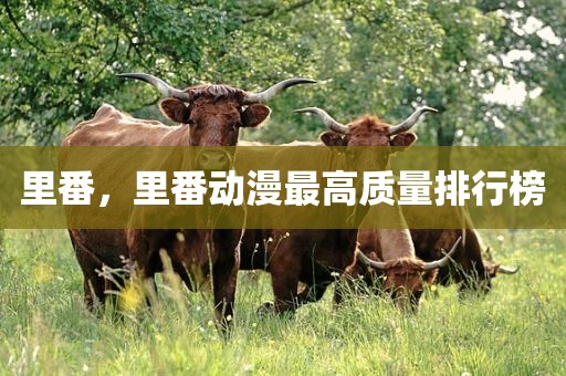 里番，里番动漫最高质量排行榜