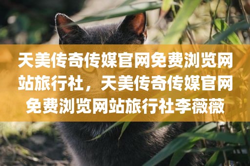 天美传奇传媒官网免费浏览网站旅行社，天美传奇传媒官网免费浏览网站旅行社李薇薇