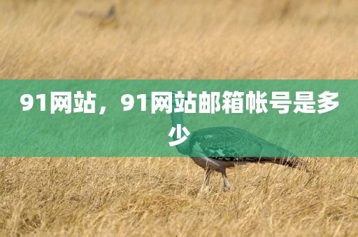 91网站，91网站邮箱帐号是多少