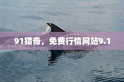 91猎奇，免费行情网站9.1