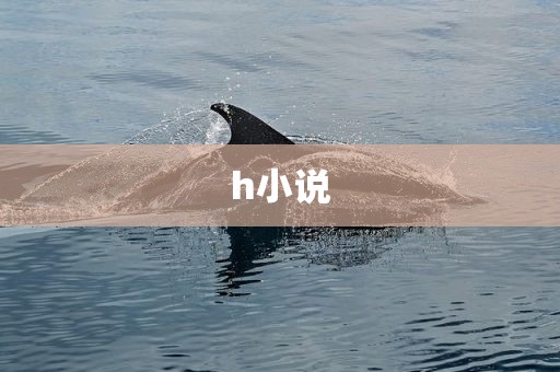 h小说