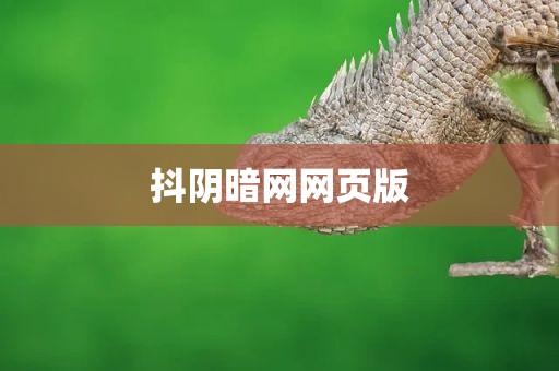 抖阴暗网网页版
