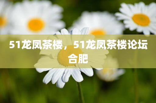 51龙凤茶楼，51龙凤茶楼论坛合肥