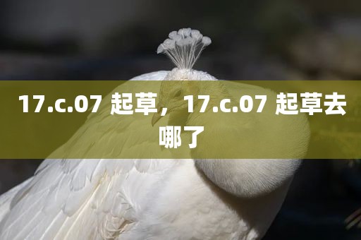 17.c.07 起草，17.c.07 起草去哪了