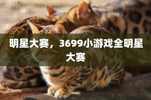 明星大赛，3699小游戏全明星大赛