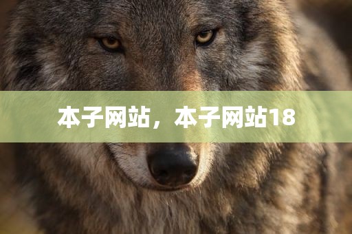 本子网站，本子网站18