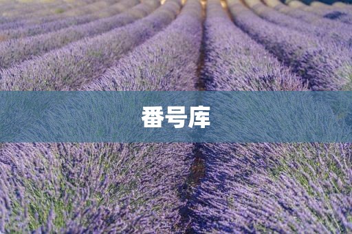 番号库