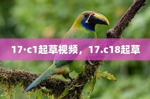 17·c1起草视频，17.c18起草