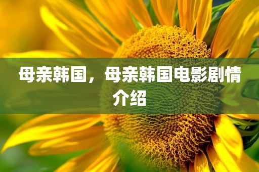 母亲韩国，母亲韩国电影剧情介绍