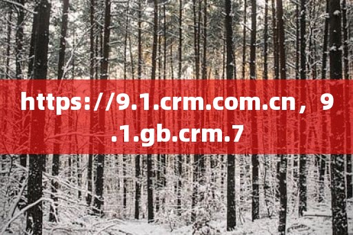https://9.1.crm.com.cn，9.1.gb.crm.7
