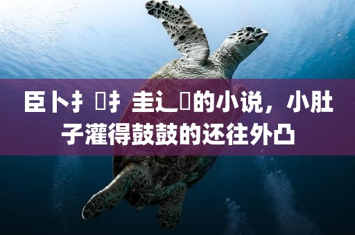 臣卜扌喿扌圭辶畐的小说，小肚子灌得鼓鼓的还往外凸