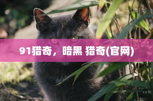91猎奇，暗黑 猎奇(官网)