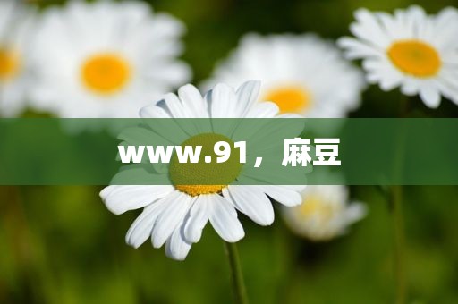 www.91，麻豆