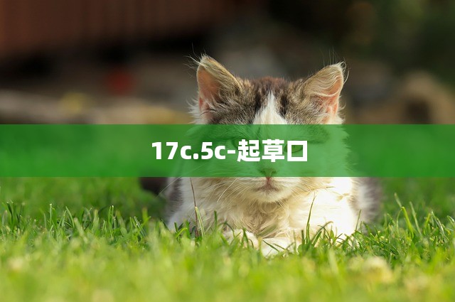 17c.5c-起草口