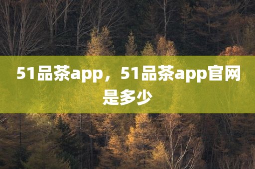 51品茶app，51品茶app官网是多少