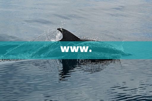 www.