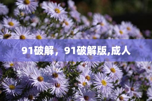 91破解，91破解版,成人