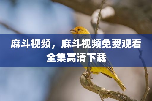 麻斗视频，麻斗视频免费观看全集高清下载