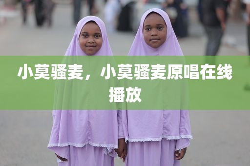 小莫骚麦，小莫骚麦原唱在线播放