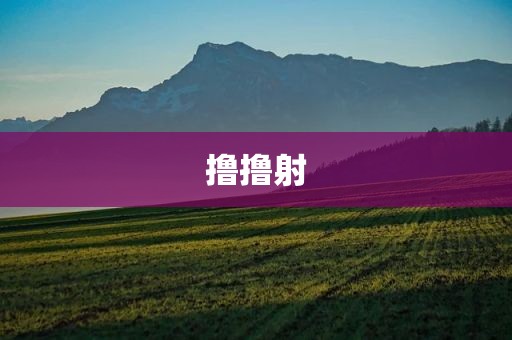 撸撸射