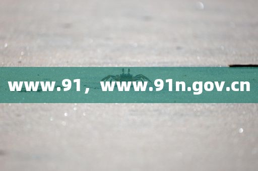 www.91，www.91n.gov.cn