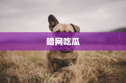 暗网吃瓜