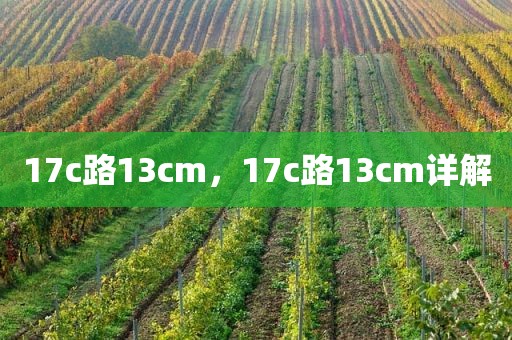 17c路13cm，17c路13cm详解