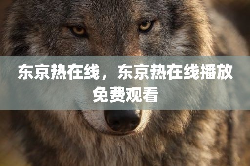 东京热在线，东京热在线播放免费观看