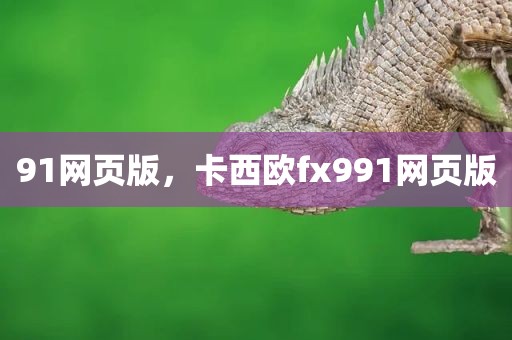 91网页版，卡西欧fx991网页版