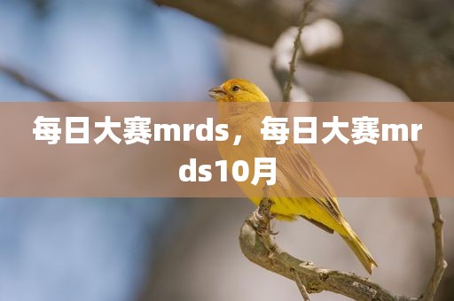 每日大赛mrds，每日大赛mrds10月