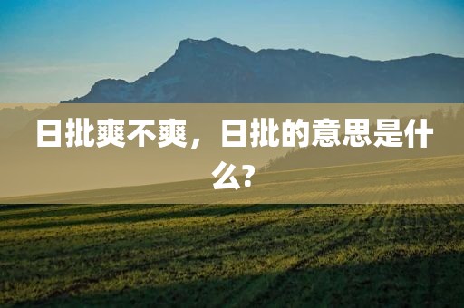 日批爽不爽，日批的意思是什么?