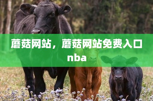 蘑菇网站，蘑菇网站免费入口nba