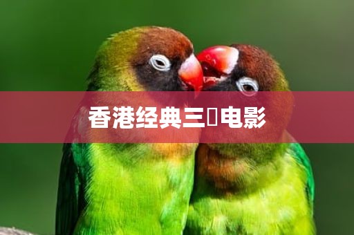 香港经典三㚫电影