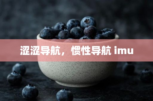 涩涩导航，惯性导航 imu