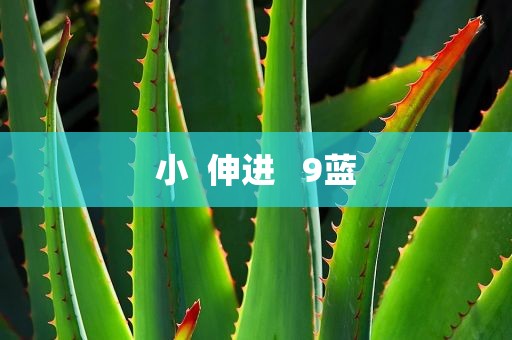 小  伸进   9蓝