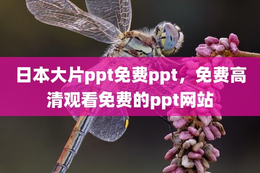 日本大片ppt免费ppt，免费高清观看免费的ppt网站