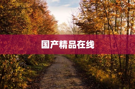国产精品在线