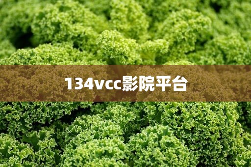 134vcc影院平台