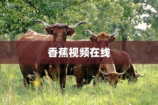 香蕉视频在线