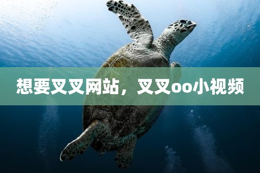 想要叉叉网站，叉叉oo小视频