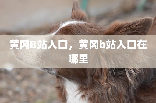 黄冈B站入口，黄冈b站入口在哪里