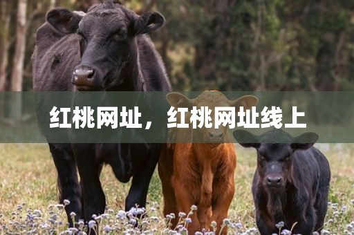 红桃网址，红桃网址线上