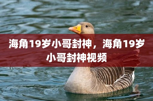 海角19岁小哥封神，海角19岁小哥封神视频