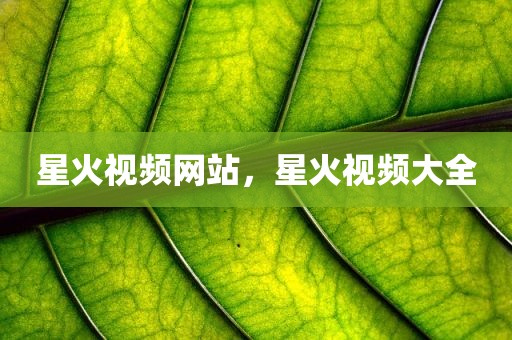 星火视频网站，星火视频大全