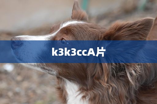 k3k3ccA片