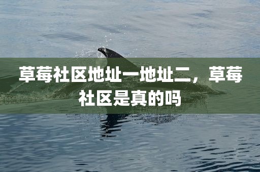 草莓社区地址一地址二，草莓社区是真的吗