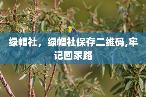 绿帽社，绿帽社保存二维码,牢记回家路