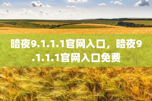 暗夜9.1.1.1官网入口，暗夜9.1.1.1官网入口免费