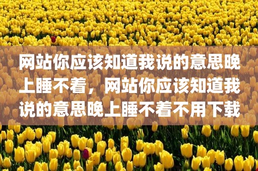 网站你应该知道我说的意思晚上睡不着，网站你应该知道我说的意思晚上睡不着不用下载