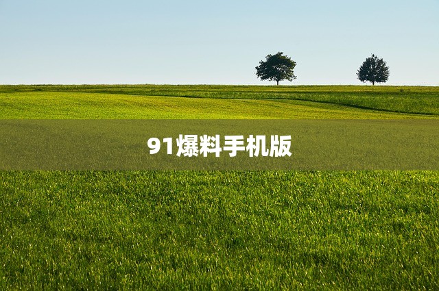 91爆料手机版